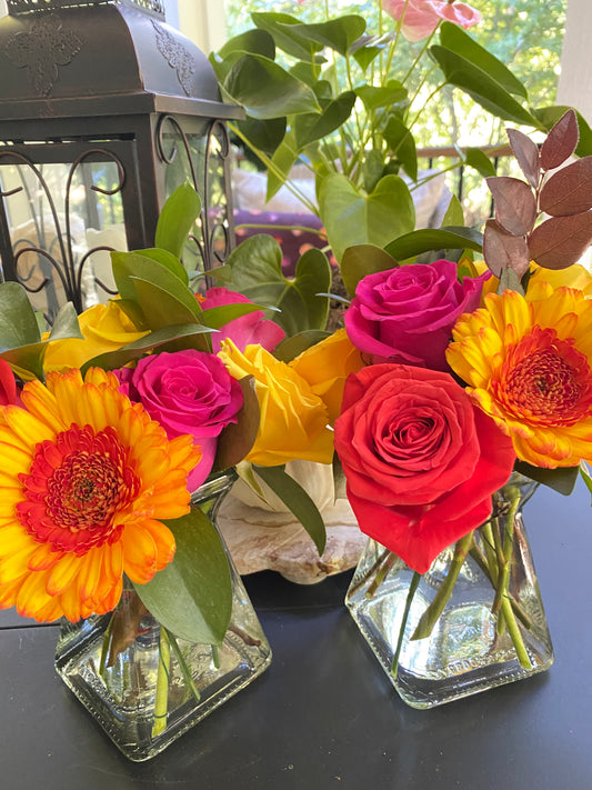 Limited Edition Roses and Gerbera Daisies - FREE DELIVERY